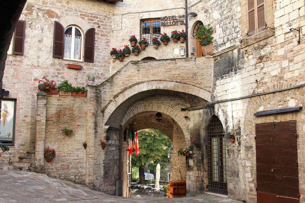 Hotel Pallotta